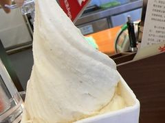 -野人先生Gelato(上海长宁龙之梦店)