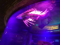 -沈阳海洋探索中心