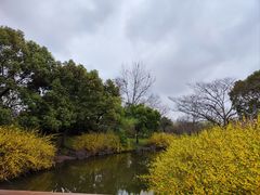 -上海滨江森林公园