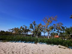 -永定河休闲森林公园