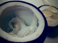 -志龙皇冠吃货椰子铺