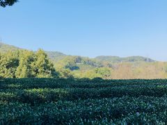 -西湖风景区十里琅珰-五云山