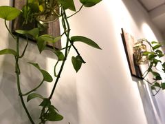 -醉牛腩·面小馆
