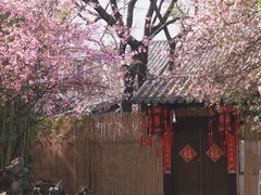 -庾园