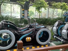 -南宫五洲植物乐园