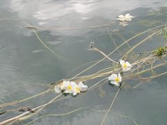 -丽江泸沽湖景区