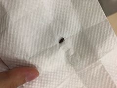 -ventus spa 沙巴亚庇正宗精油按摩会所