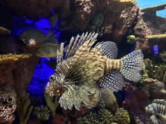 -上海海洋水族馆