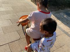 -三水森林公园