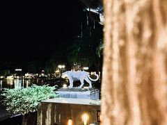 -清迈夜间动物园