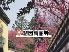 -杭州植物园