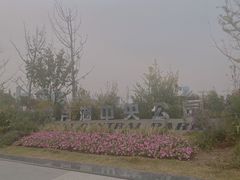 -映月湖中央公园