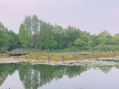 -西溪国家湿地公园