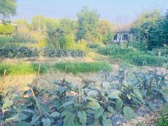 -灶头屋里