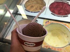 -哈根达斯(天河城店)