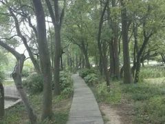 -东湖落雁景区