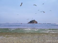 -棒棰岛宾馆景区