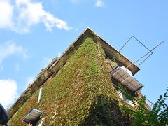 -四川大学(望江校区)