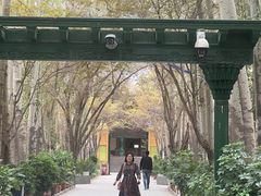 -艾提尕尔清真寺