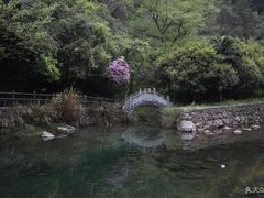 -宁波五龙潭景区