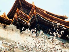 -东华门大街小区
