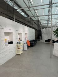-BOF HAIR BY HONTO