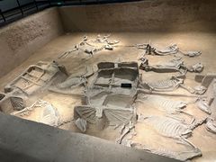 -洛阳周王城天子驾六博物馆