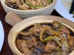 面筋牛腩煲-顺发饭店