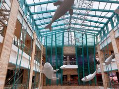 店内环境-大族广场Mall&More