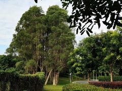 -东莞植物园