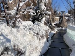 -清河半岛温泉度假酒店