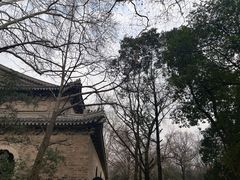 -灵谷景区