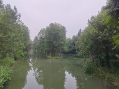 -西溪国家湿地公园