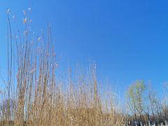 -永定河休闲森林公园