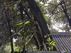 -狼山风景名胜区