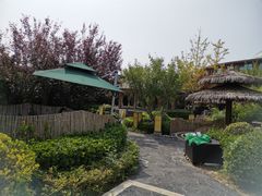 -大连金石滩绿发温泉假日酒店
