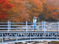 -光雾山旅游景区