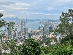 -太平山顶
