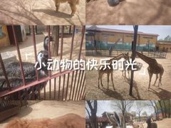 -太原动物园