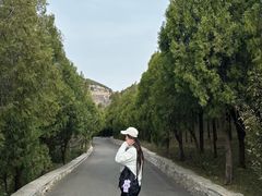 -佛慧山