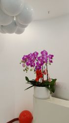 -DR·Z 科技护肤中心