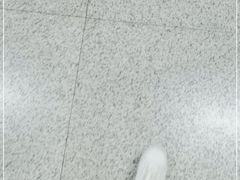 -巴犀烧烤(新崇光店)