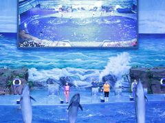 -多彩贵州城极地海洋世界