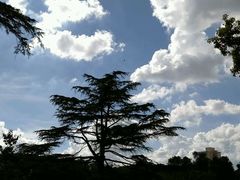 -御花园·粤菜·海鲜火锅(中山公园店)