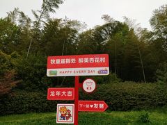 -杏花村文化旅游区