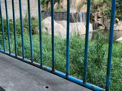 -碓臼峪自然风景区