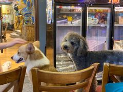 -more than meow吴止猫主题餐厅(承德 中船汇店)