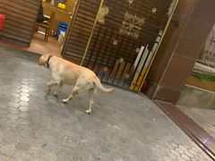 -杨厝六十六农庄农舍(杨厝路店)