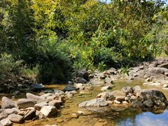 -广州白江湖森林公园