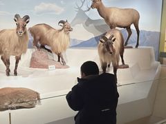 -陕西自然博物馆